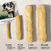 Tough Molar Dog Chew Stick