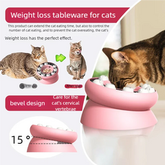 WhiskerWise Pet Slow Feeder Bowl