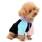 CozyPup Gentle Comfort Dog Hoodie