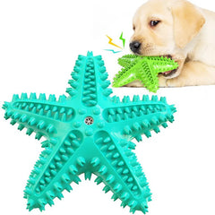 Durable Molar Stick Dog Toy