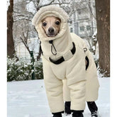 Cozy Winter Big Dog Jacket
