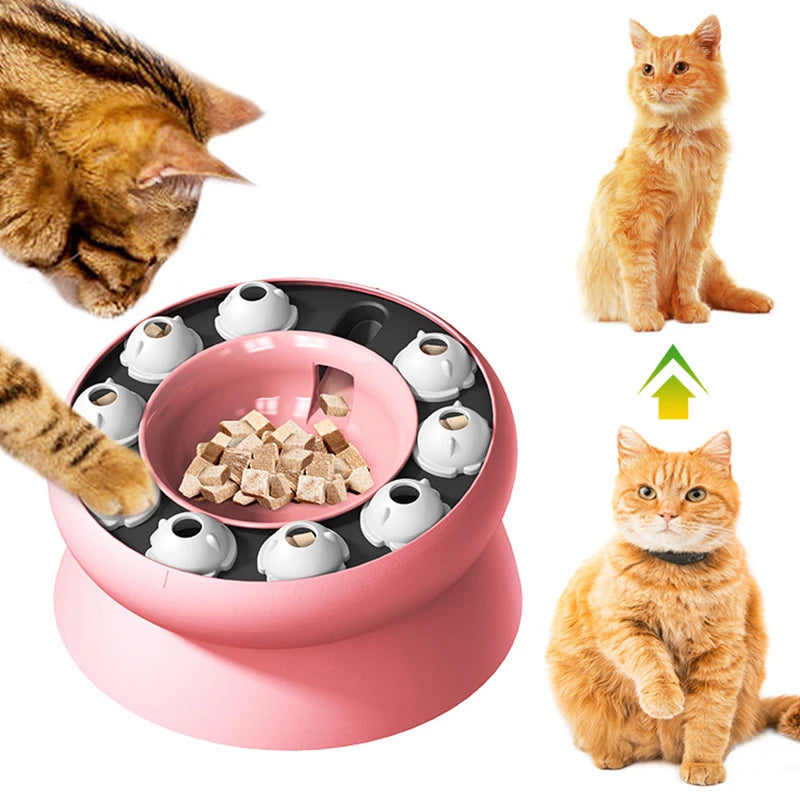WhiskerWise Pet Slow Feeder Bowl