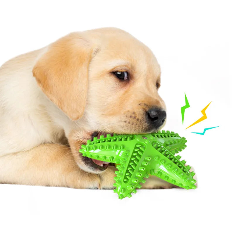 Durable Molar Stick Dog Toy