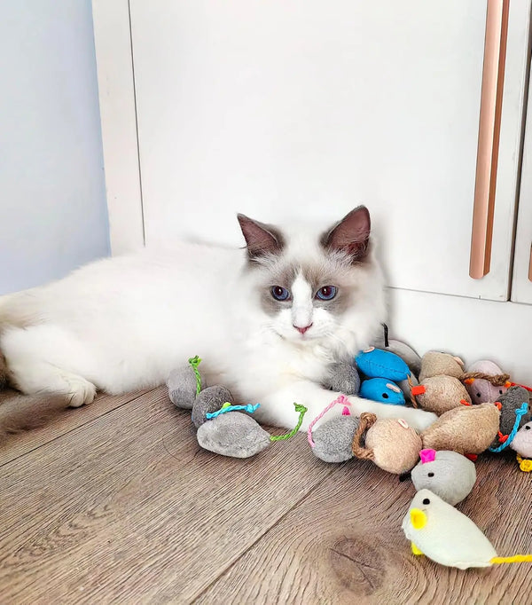 Fuzzy Rattle Cat Mouse Pack