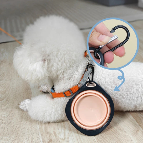 Collapsible Pet Travel Bowl Bottle