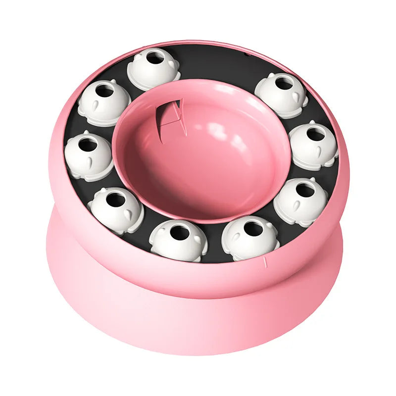 WhiskerWise Pet Slow Feeder Bowl
