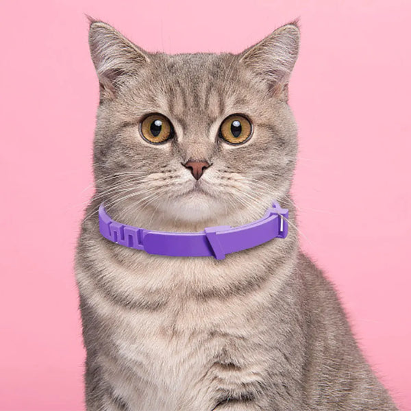 CalmPack Pet Calming Comfort Collar