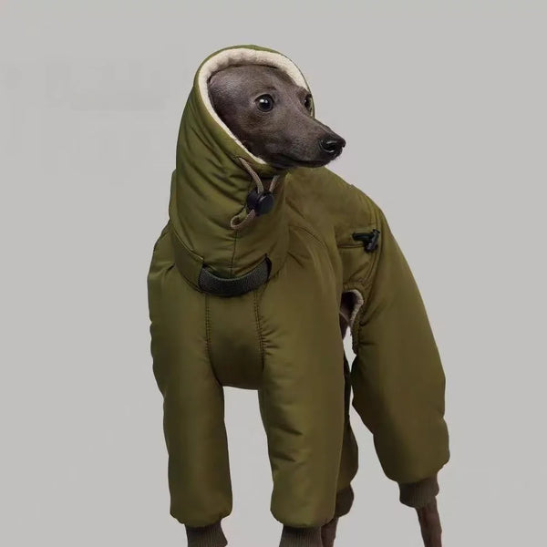 Cozy Winter Big Dog Jacket