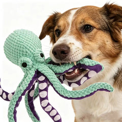 Rugged Octo Chew Buddy