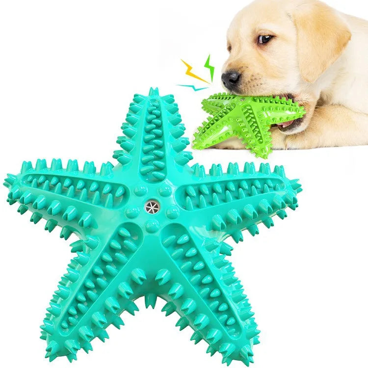 Durable Molar Stick Dog Toy