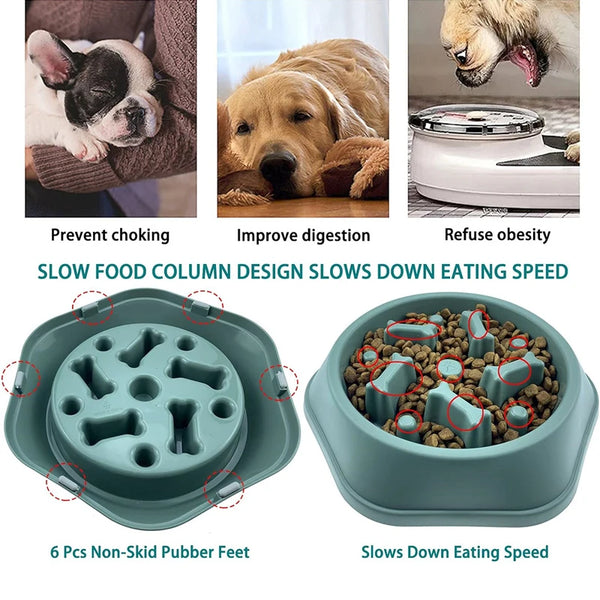 CalmFeast Puzzle Slow Dog Bowl