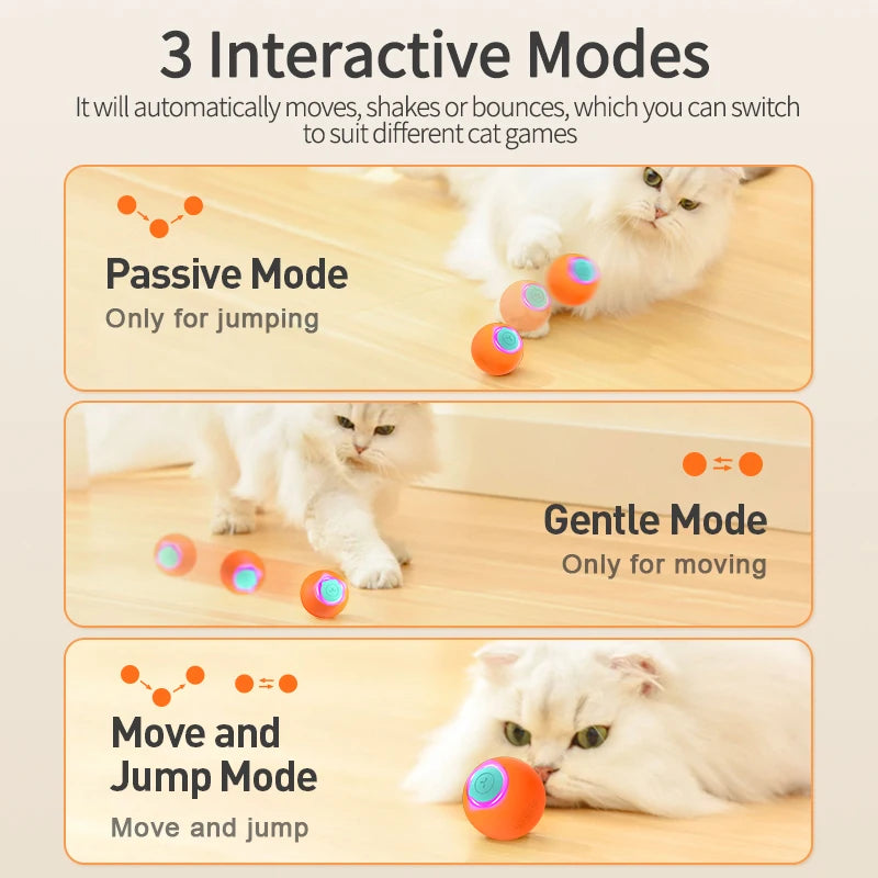 PlayPulse Rolling Cat Ball