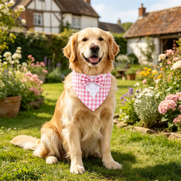 Dapper Pup Tuxedo Bandana Bow