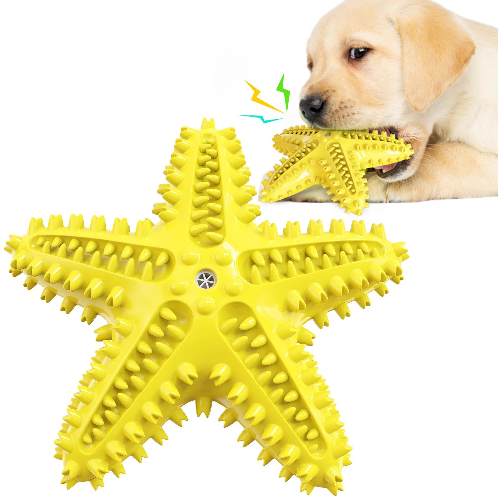 Durable Molar Stick Dog Toy
