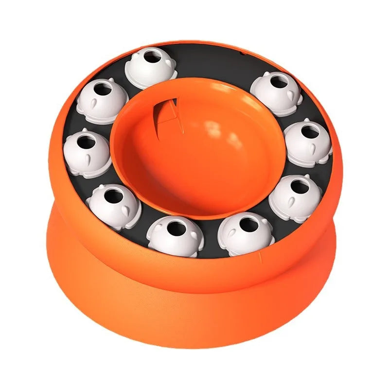 WhiskerWise Pet Slow Feeder Bowl