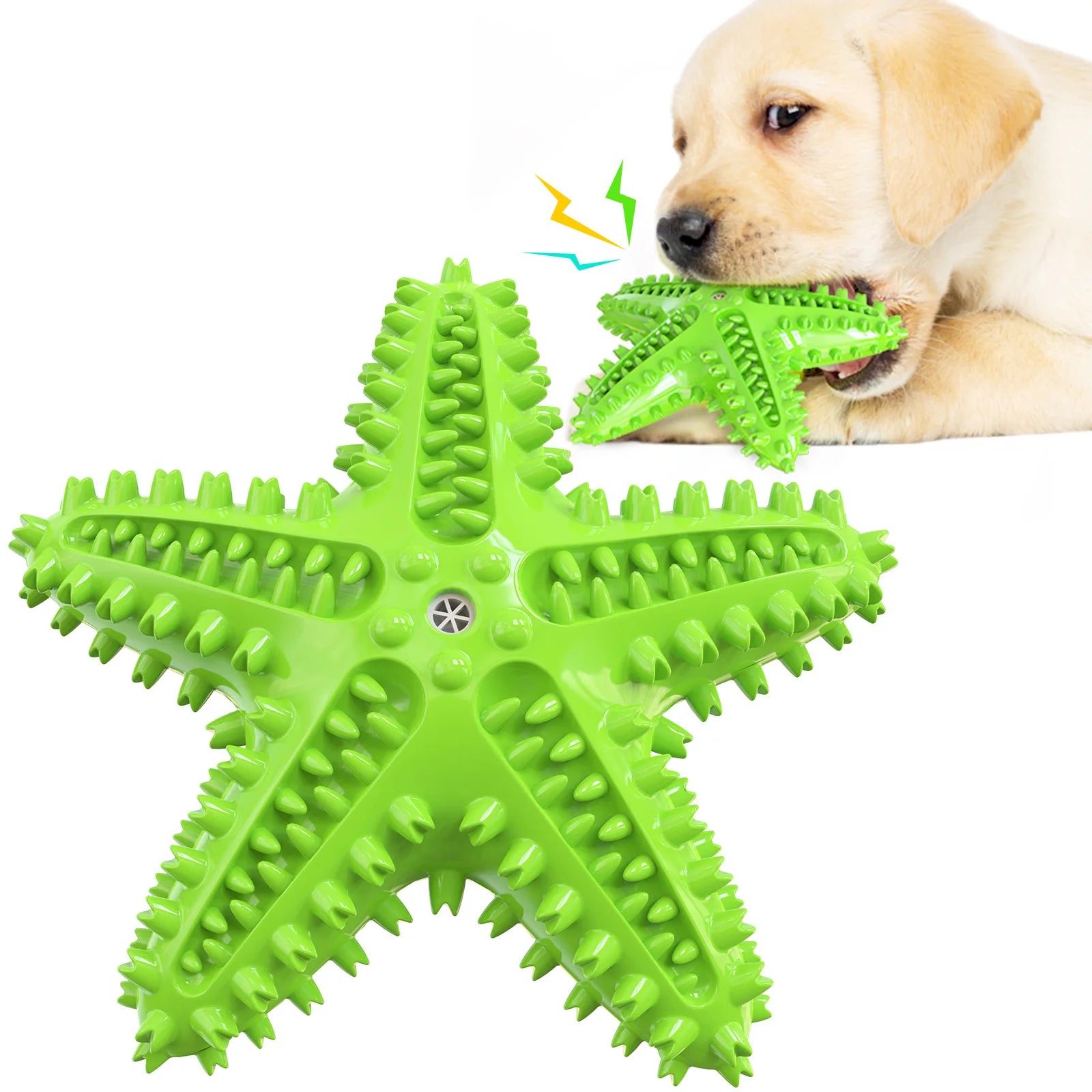 Durable Molar Stick Dog Toy