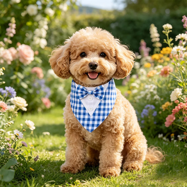 Dapper Pup Tuxedo Bandana Bow