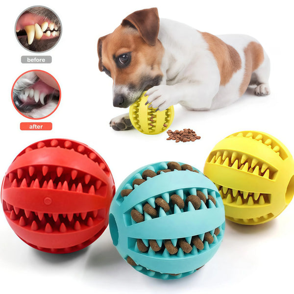 FetchMate Chew & Treat Ball