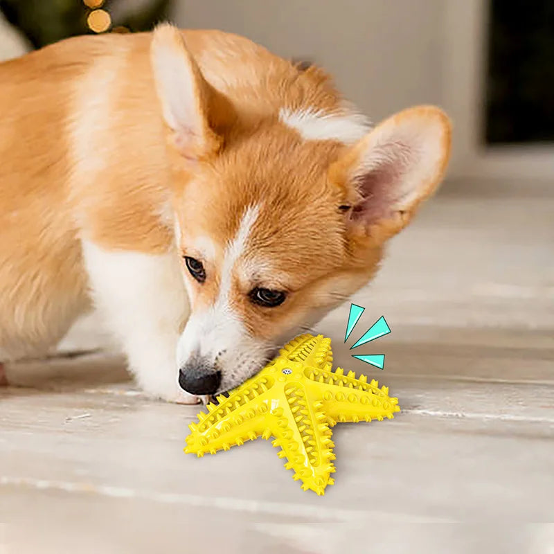 Durable Molar Stick Dog Toy