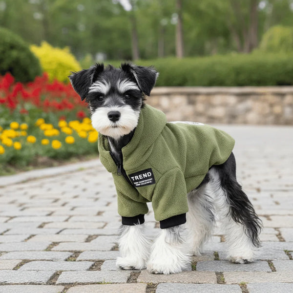 Comfy Trail Dog Hoodie