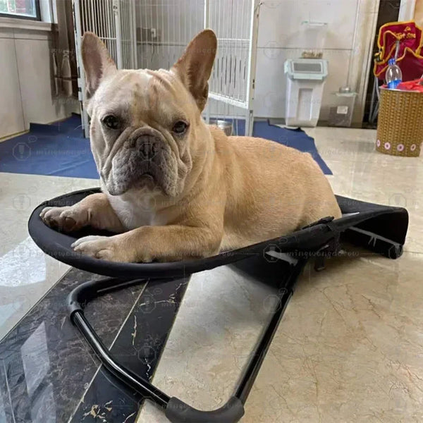 Comfy Pet Rocking Relax Bed